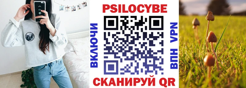 Псилоцибиновые грибы Psilocybe Гай